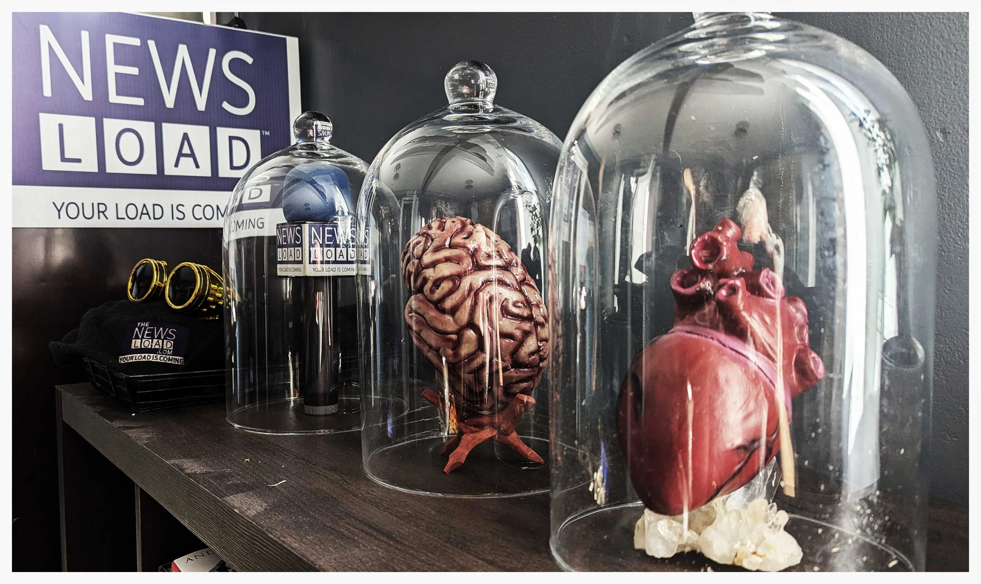 Three glass cloches display a blue sphere, a brain model, and a heart model on a dark wooden shelf, with a "NEWS LOAD" sign and a pair of gold goggles visible in the background.