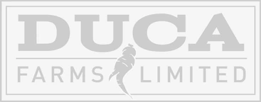 A black and white logo for "DUCA FARMS LIMITED" features the word "DUCA" in large, bold, sans-serif capital letters above a thin horizontal line, with a stylized black chili pepper icon positioned below the "U" in "DUCA" and extending downwards, and the words "FARMS LIMITED" in smaller, sans-serif capital letters below the line, all enclosed within a double-lined rectangular border on a light gray background.