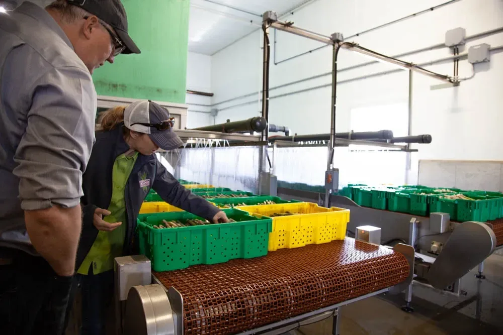 DUCA Farms Erica Van Es showing Bryan from Bizbio around their facility